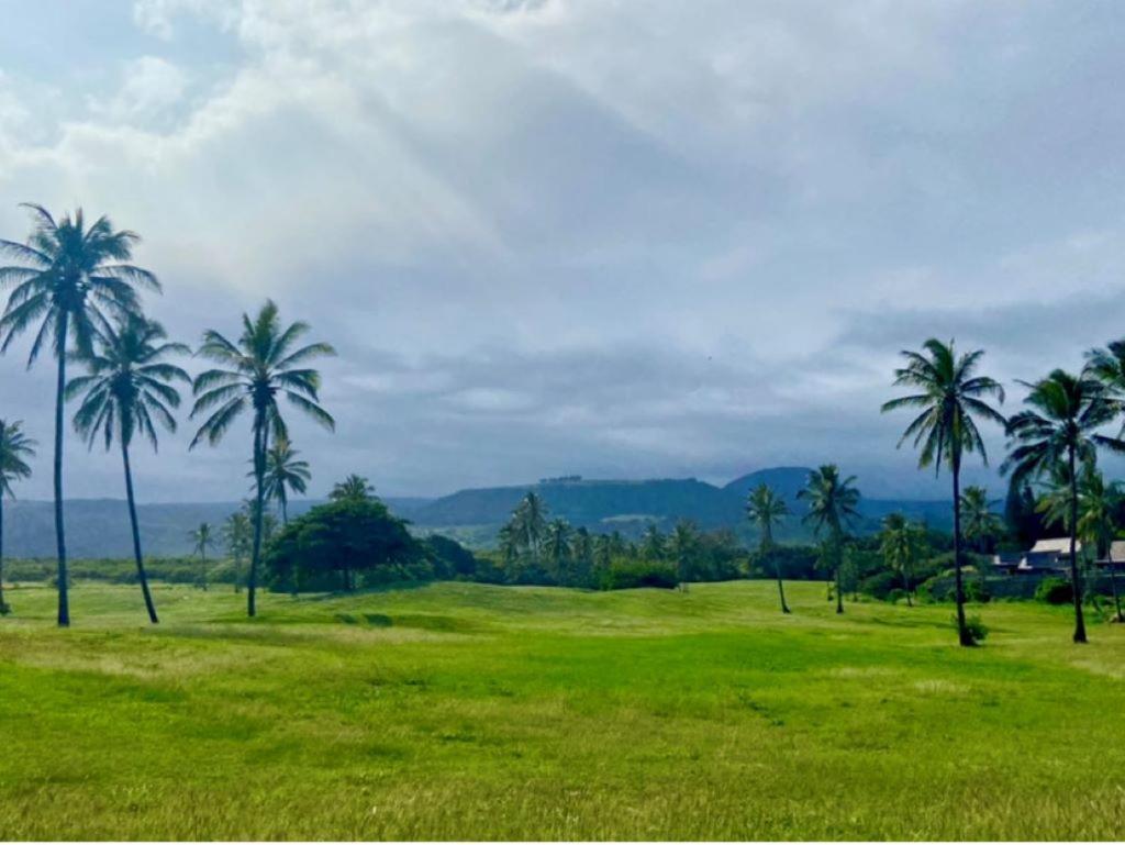 Charming 1 Bedroom Beach Condo Prime Location Great Value Pahala 外观 照片