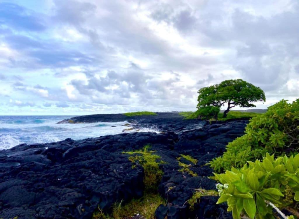 Charming 1 Bedroom Beach Condo Prime Location Great Value Pahala 外观 照片