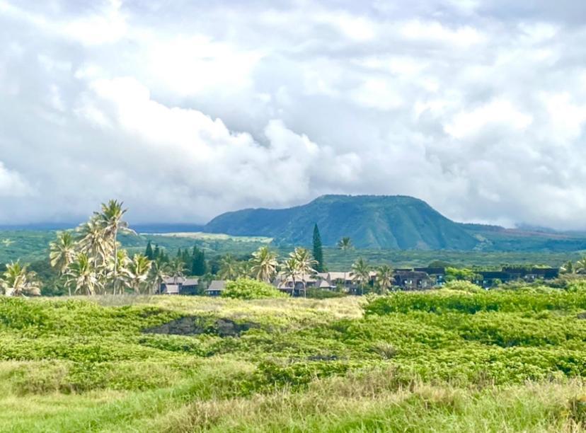 Charming 1 Bedroom Beach Condo Prime Location Great Value Pahala 外观 照片